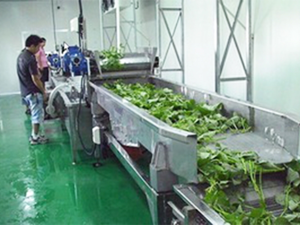 Vegetable washing and drying with running water